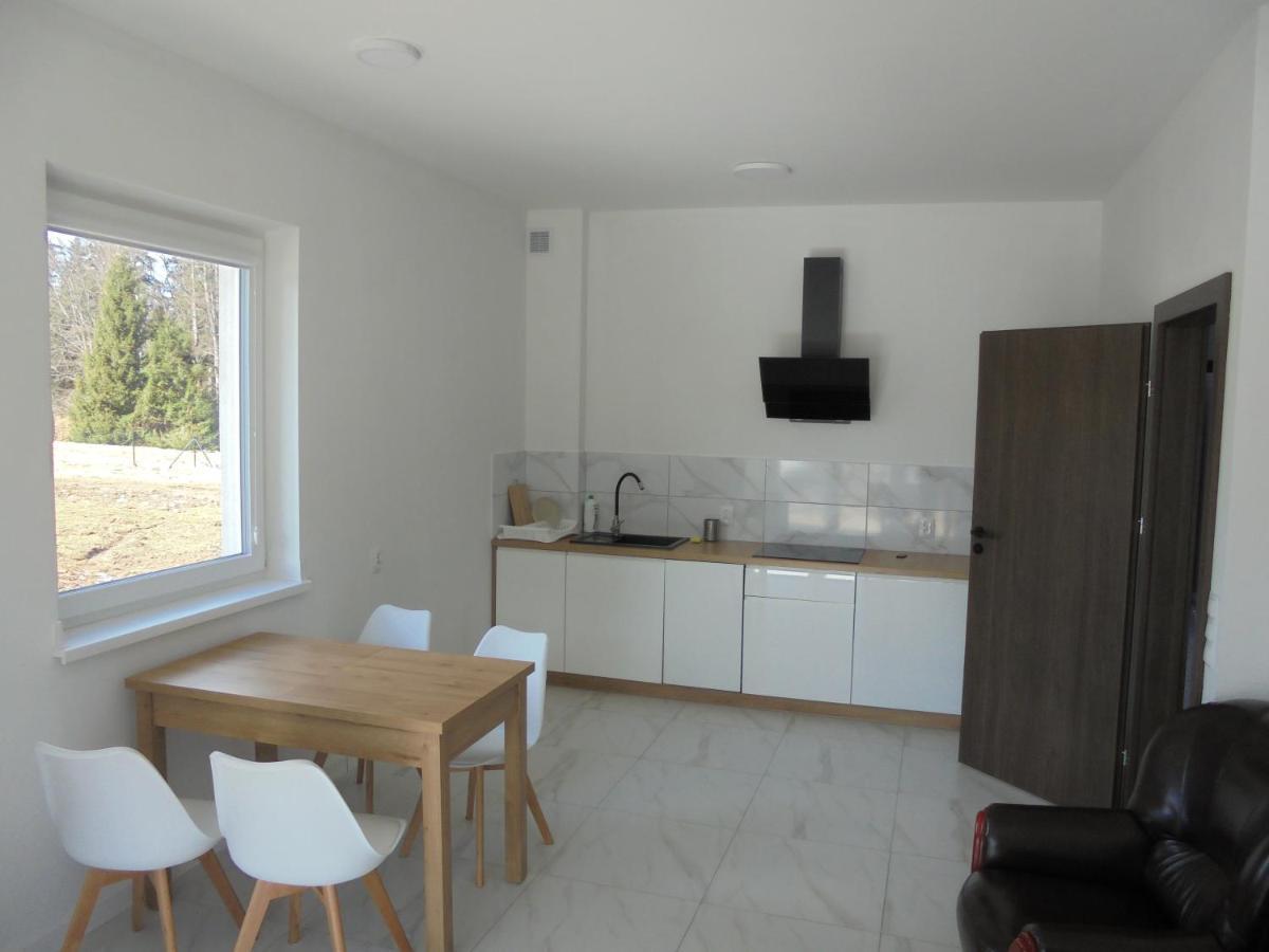 Apartamenty Pod Jagodna Spalona 외부 사진